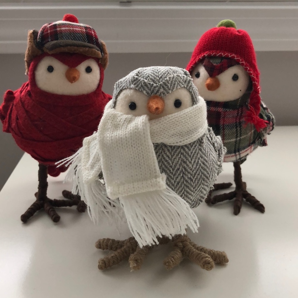 Cute Winter Bird  decorations